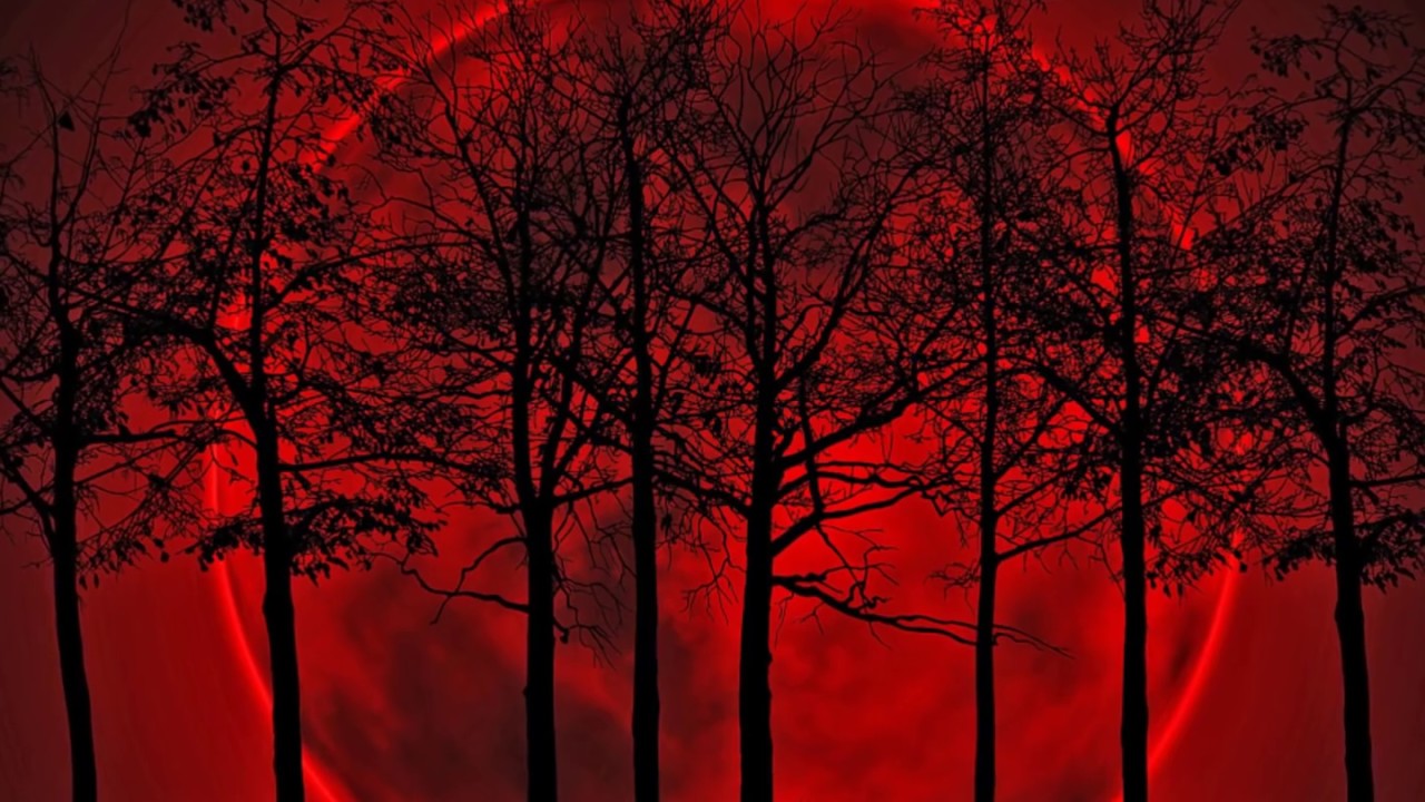 Genesis ~ Blood On The Rooftops ~ (Rm)