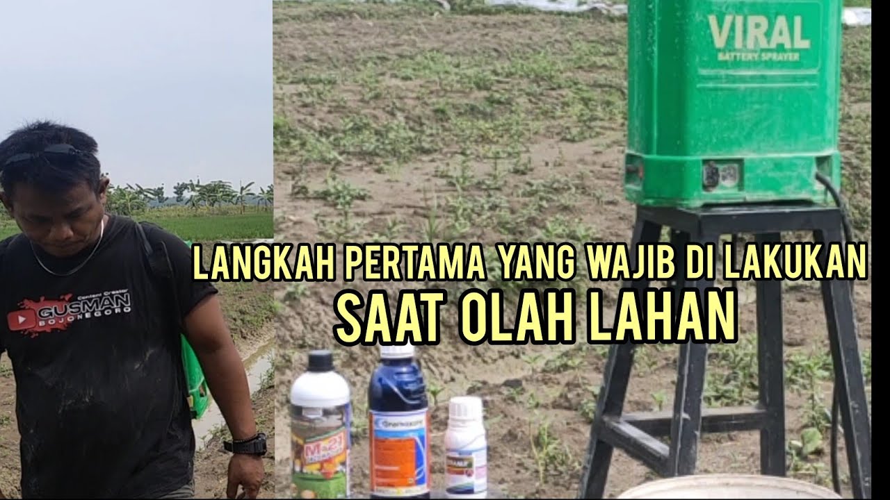 LANGKAH AWAL YANG WAJIB DI LAKUKAN SAAT OLAH LAHAN