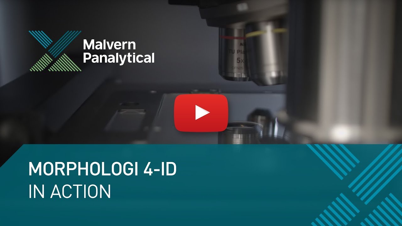 Morphologi 4-ID in action