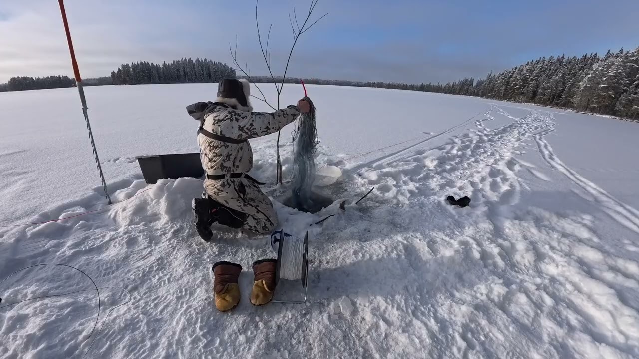 Verkonlasku jään alle, lyhyt versio kaikille  kiireisille jellukoille :)