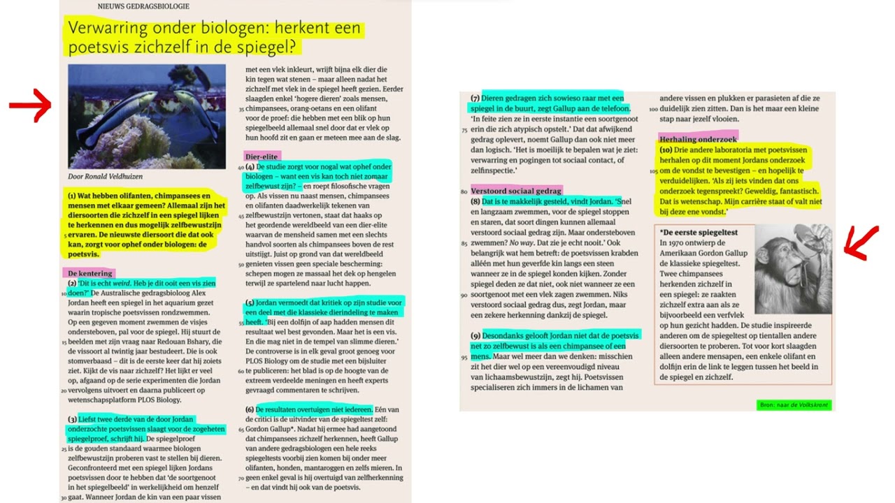 Verkennend, nauwkeurig, kritisch lezen