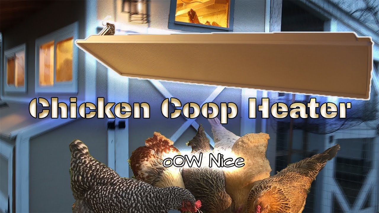 How To Heat A Chicken Coop In Winter | Do Chickens Need Heat In Winter? Sweeter Heater