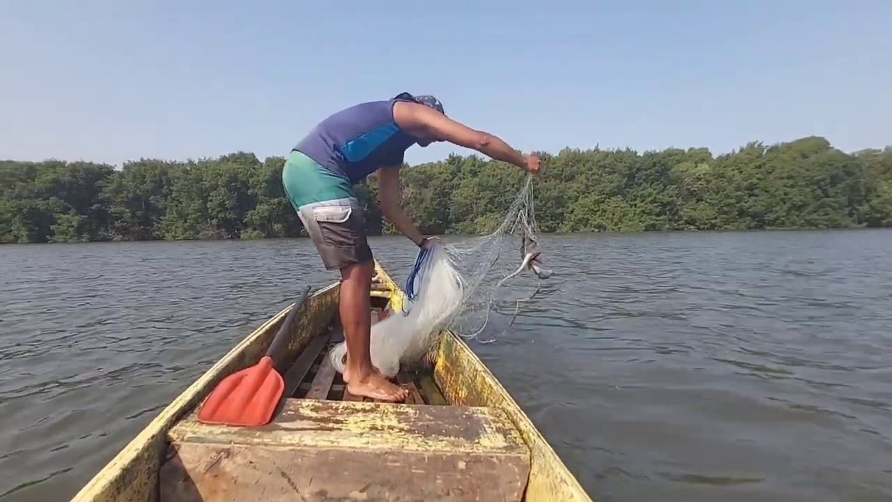 FUI DA UMA VOLTA DE BARCO E LEVEI A TARRAFA QUANDO MENOS ESPERAVA MUITO PEIXE,INCLUSIVE ARRAIA!🐟🐠😱