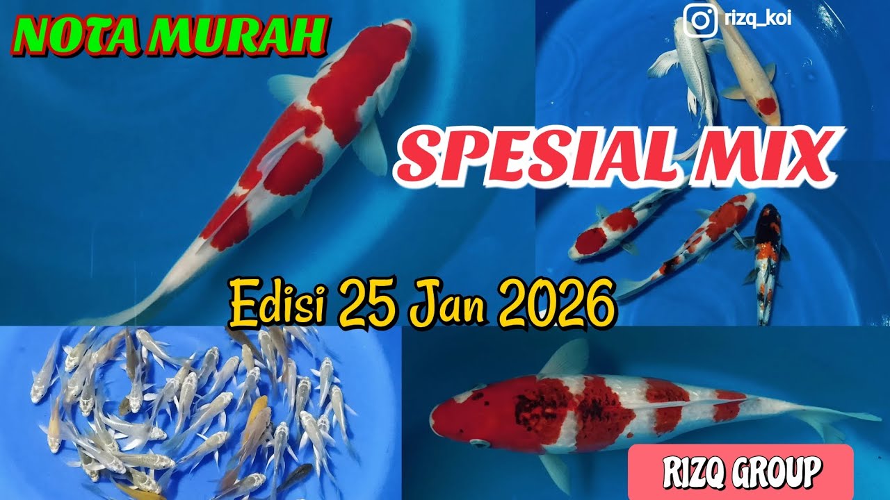 NOTA MURAH SPESIAL MIX‼️ Edisi 25 Januari 2026‼️RIZQ GROUP 