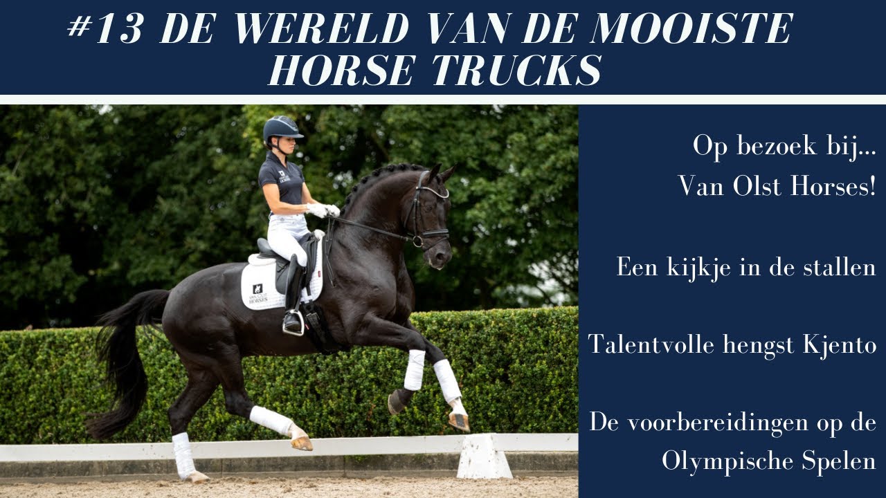 #13 OP BEZOEK BIJ VAN OLST HORSES| TALENTVOLLE HENGST KJENTO | OLYMPISCHE SPELEN | TOPVERERVER NEGRO
