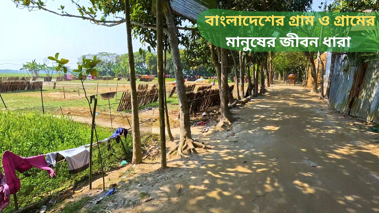 বাংলাদেশের গ্রাম ও গ্রামের মানুষের জীবনধারা | Rural Life in Bangladesh | Village Lifestyle