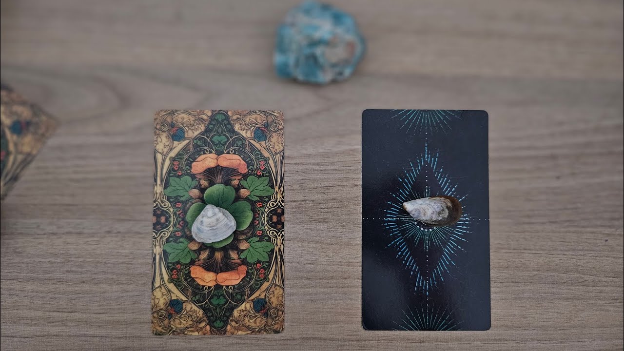 Mensagem do TAROT e BARALHO CIGANO pro seu MOMENTO atual!🌟🥰🔥
