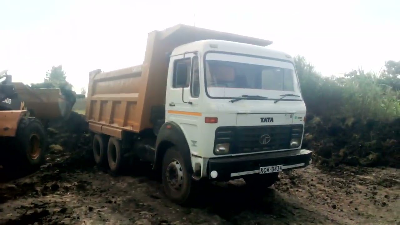 cervol loading cotton to Tata tipper 2516