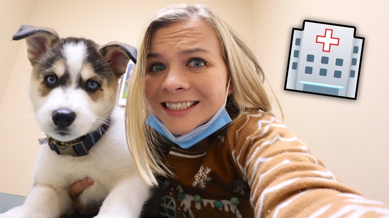 PUPPY FIRST VET APPOINTMENT *Fingers Crossed* Day 11 of The 12 Days Of Christmas