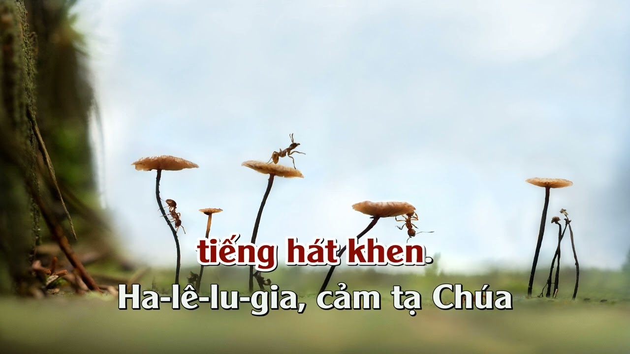 HA-LÊ-LU-GIA CẢM TẠ CHÚA (Beat) - Nhạc Thánh Tin Lành