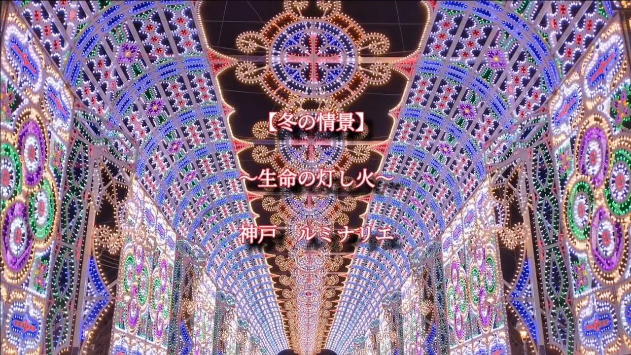 【冬の情景】〜生命の灯し火〜　2026年02月04日撮影　神戸ルミナリエ　#ルミナリエ 