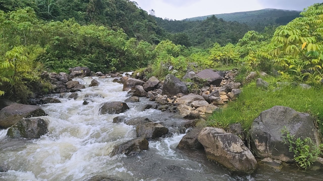 Ultimate Relaxation! Peaceful Running Stream Sounds for Deep Sleep and Stress Reduction