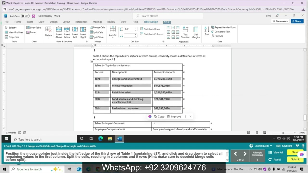 Глава 3 Word: Практическое упражнение 1 Симуляционное обучение | Экзамен по симуляции | Симуляцио...