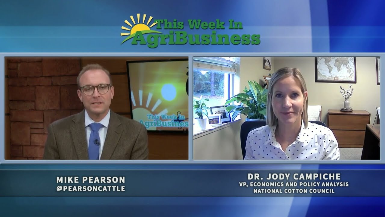 COTTON COUNCIL DR  JODY CAMPICHE