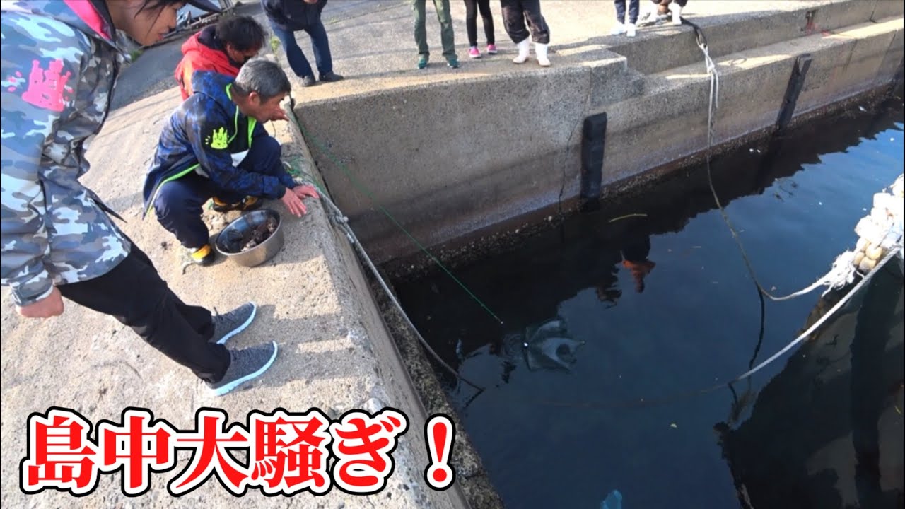 淡水用のカゴを漁師達が離島堤防に仕掛けたら前代未聞の現象が起きた！