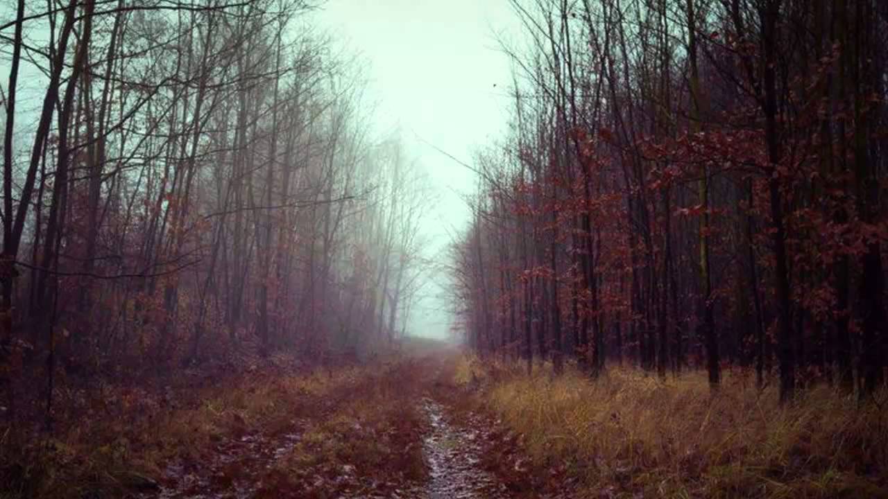Dynfari  - Hafsj&oacute;r