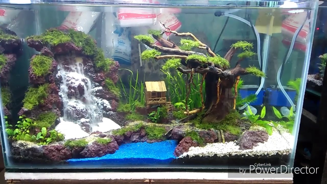 Aquascape macam-macam air terjun