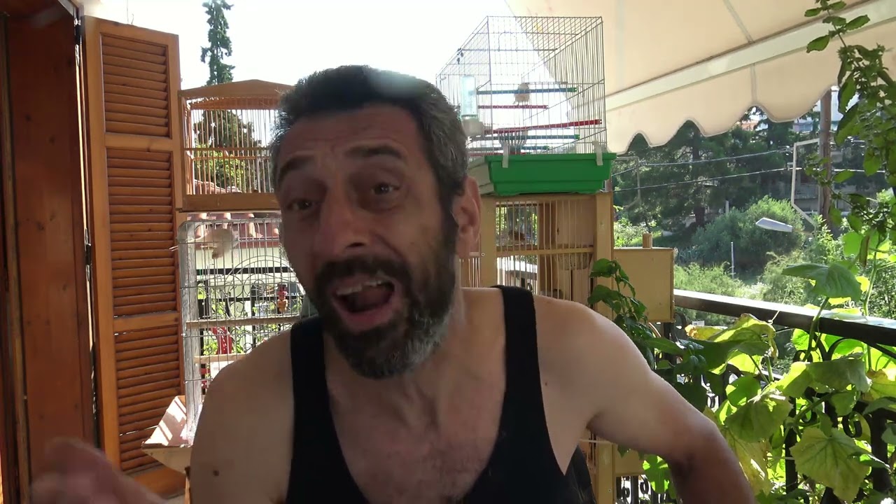 Η ΑΠΟΛΥΤΗ ΑΙΣΘΗΣΗ ΤΗΣ ΕΥΤΥΧΙΑΣ ΜΕ ΤΑ ΠΟΥΛΙΑ THE ABSOLUTE FEELING OF HAPPINESS WITH MY BIRDS