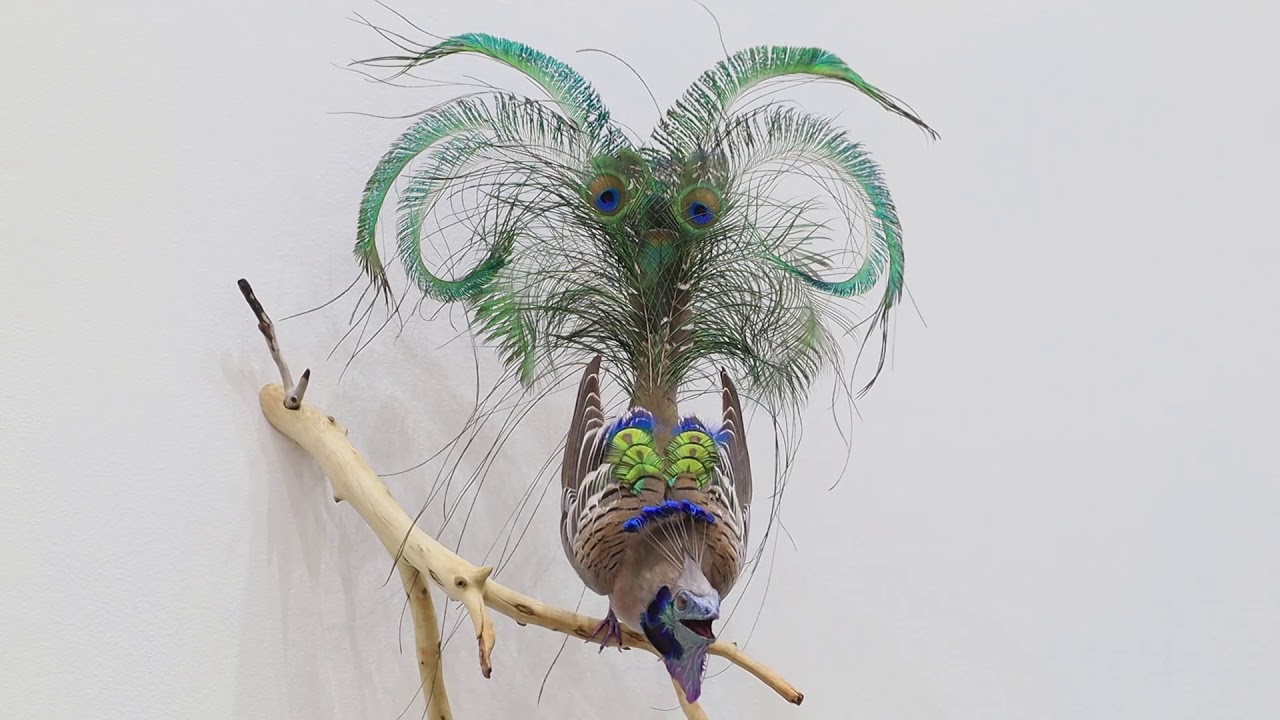 Enrique Gomez de Molina