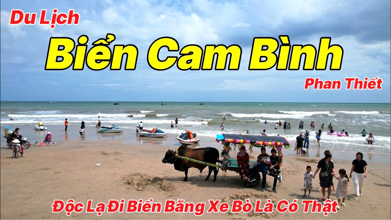 Độc Đáo Bãi Biển Cam Bình - LaGi Bình Thuận Đi Biển Bằng Xe Bò Có Một Không Hai | Hướng Dẫn Chi Tiết