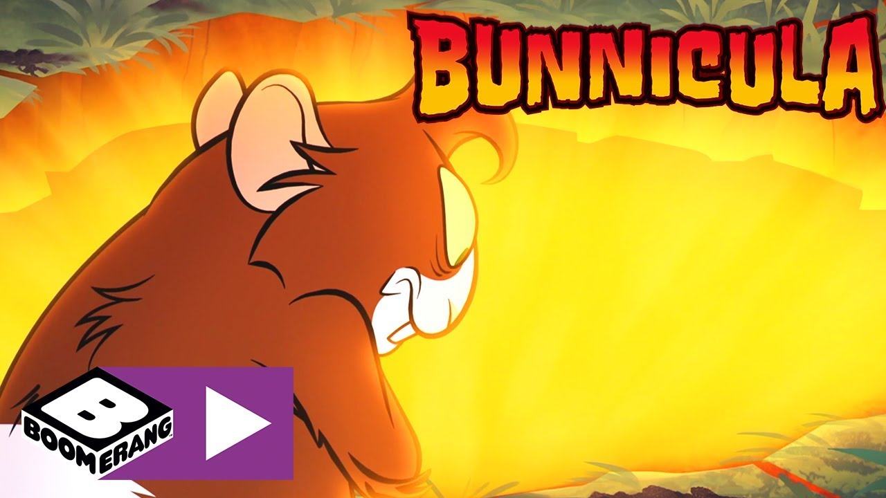 Królikula | Czesław jest do niczego! | Cartoonito