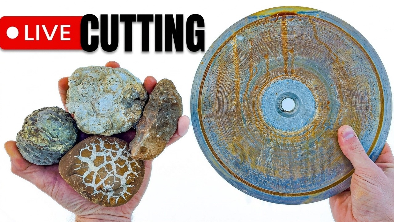 LIVE Rock Cutting | Random Minerals Cut & Revealed