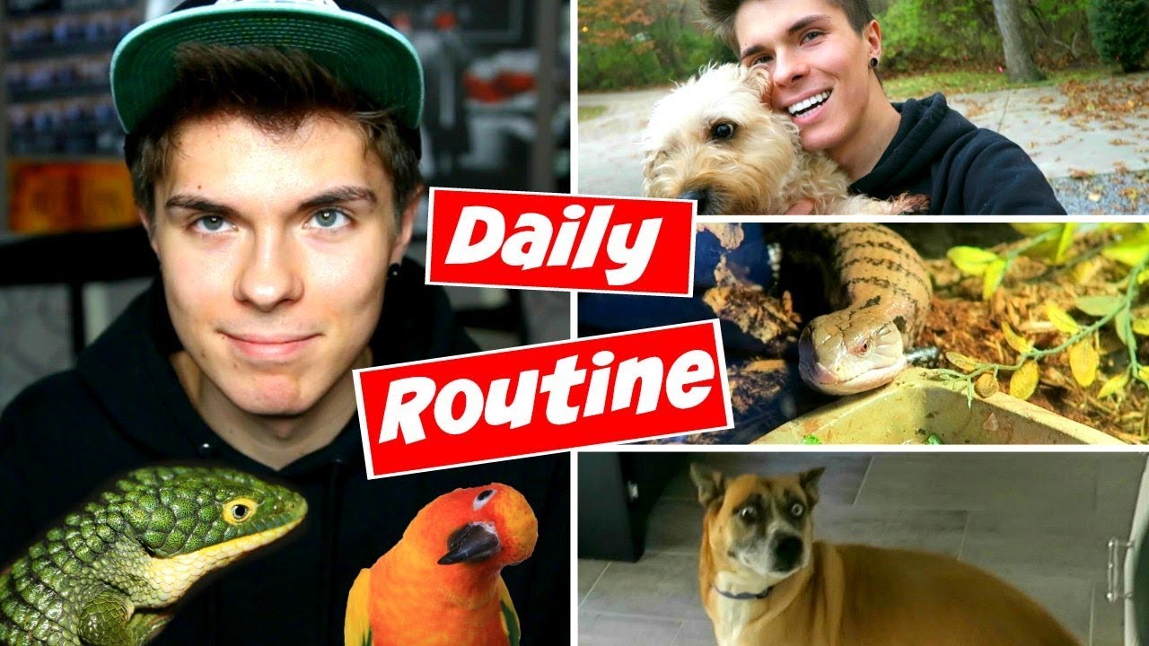 Daily Pet Care Routine! (Reptiles, Birds, + More!)
