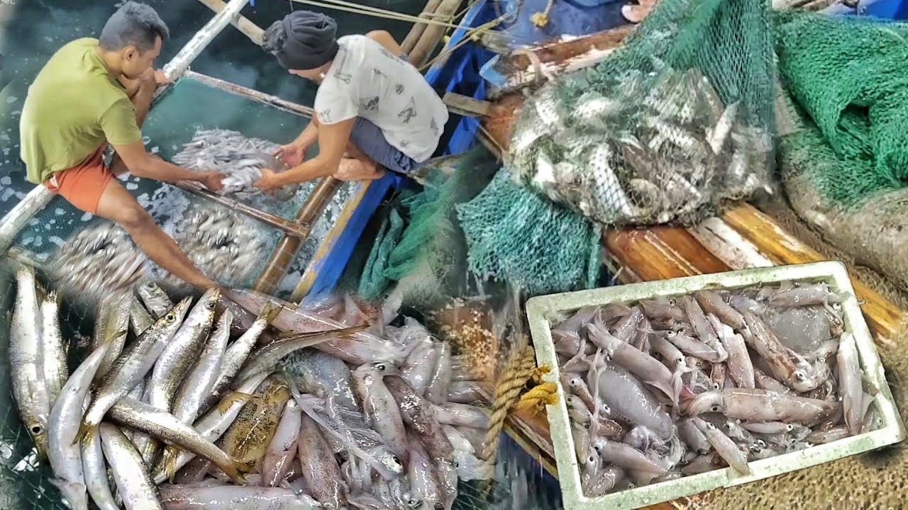 PUNO NA NAMAN NG MGA PUSIT ANG BAGONG LAGAYAN!