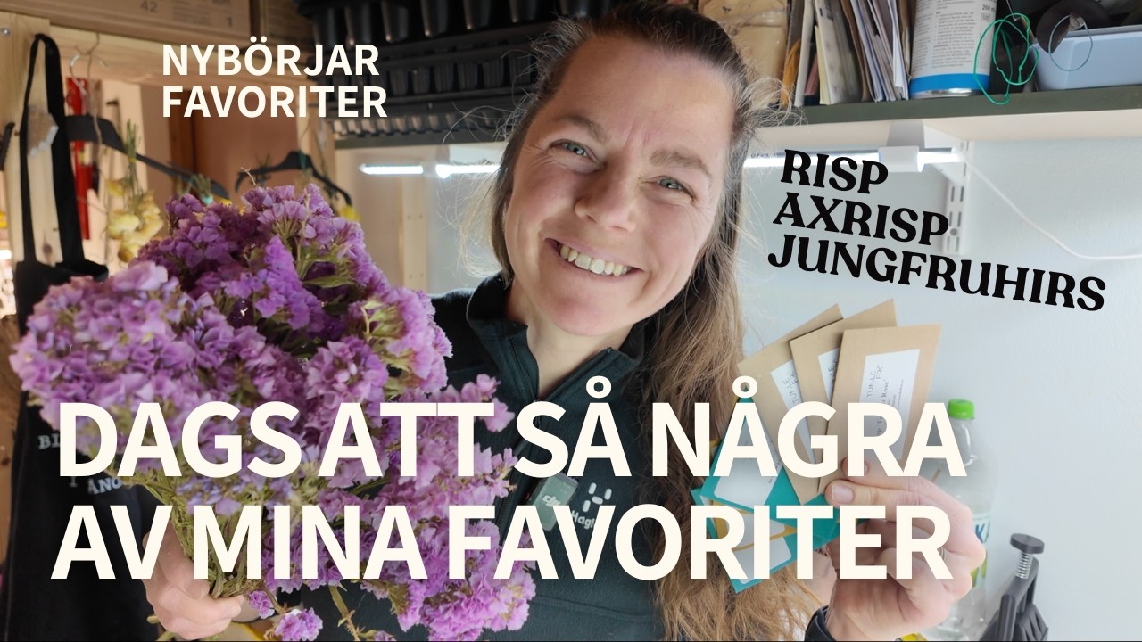 SÅDD 25 FEBRUARI - Risp, Axrisp & Jungfruhirs. Några av mina lättodlade favoriter!