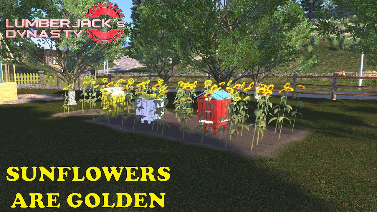 Lumberjack's Dynasty EP 60     So how profitable are those sunflowers