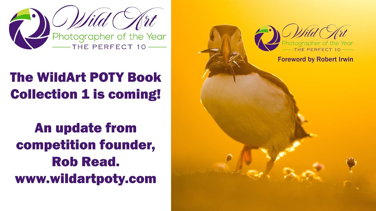 WildArt Photographer of the Year Book Update