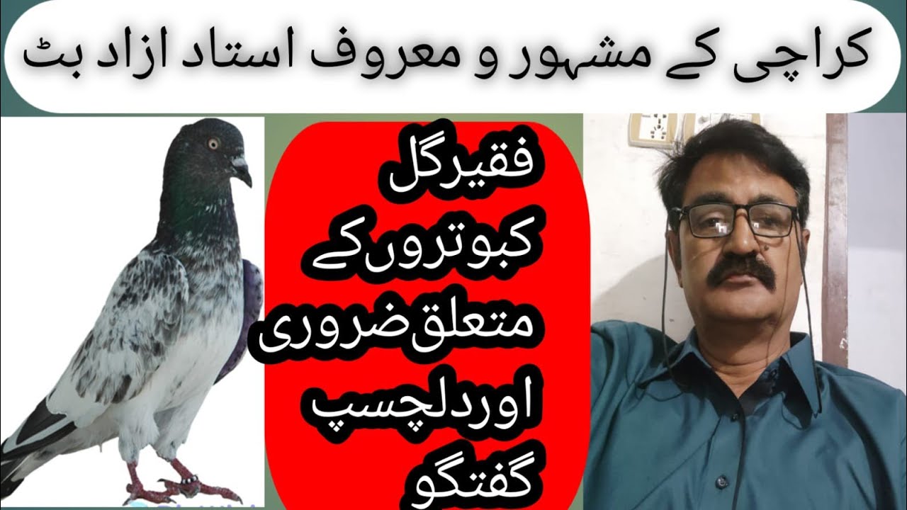 Ustad Azad but sahb sa Faqeer Gul kabotero ki Malumat|Faqeer Gul kabotero ki history|Faqeer Gul kabt