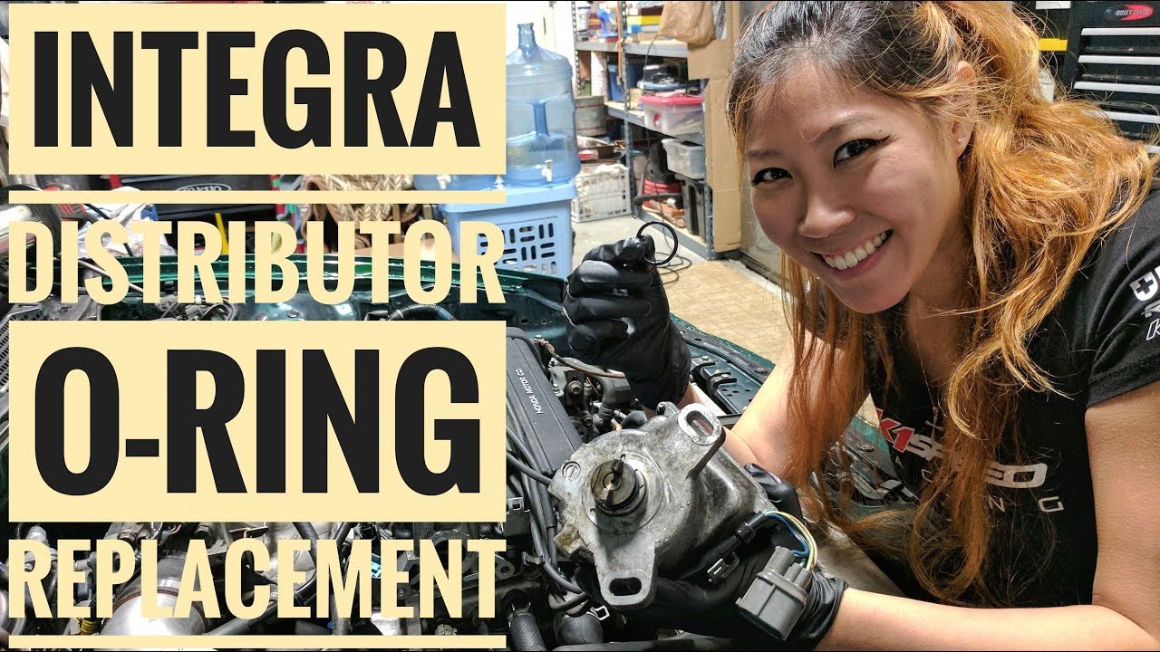How to Replace Integra Distributor O-Ring (VLOG 15)