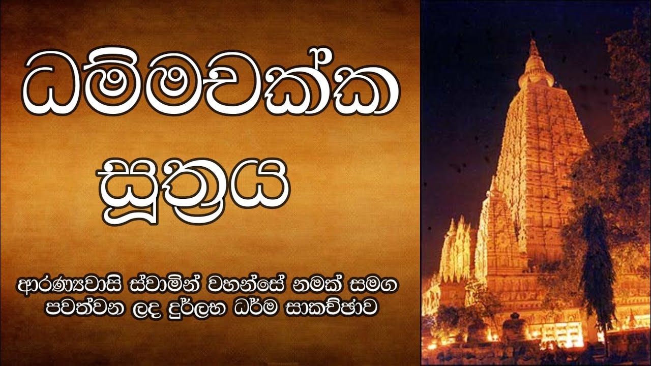 ධම්මචක්ක සූත්‍රය | ආරණ්‍යවාසි ස්වාමින් වහන්සේ නමක් සමග පවත්වන ලද දුර්ලභ ධර්ම සාකච්ඡාව