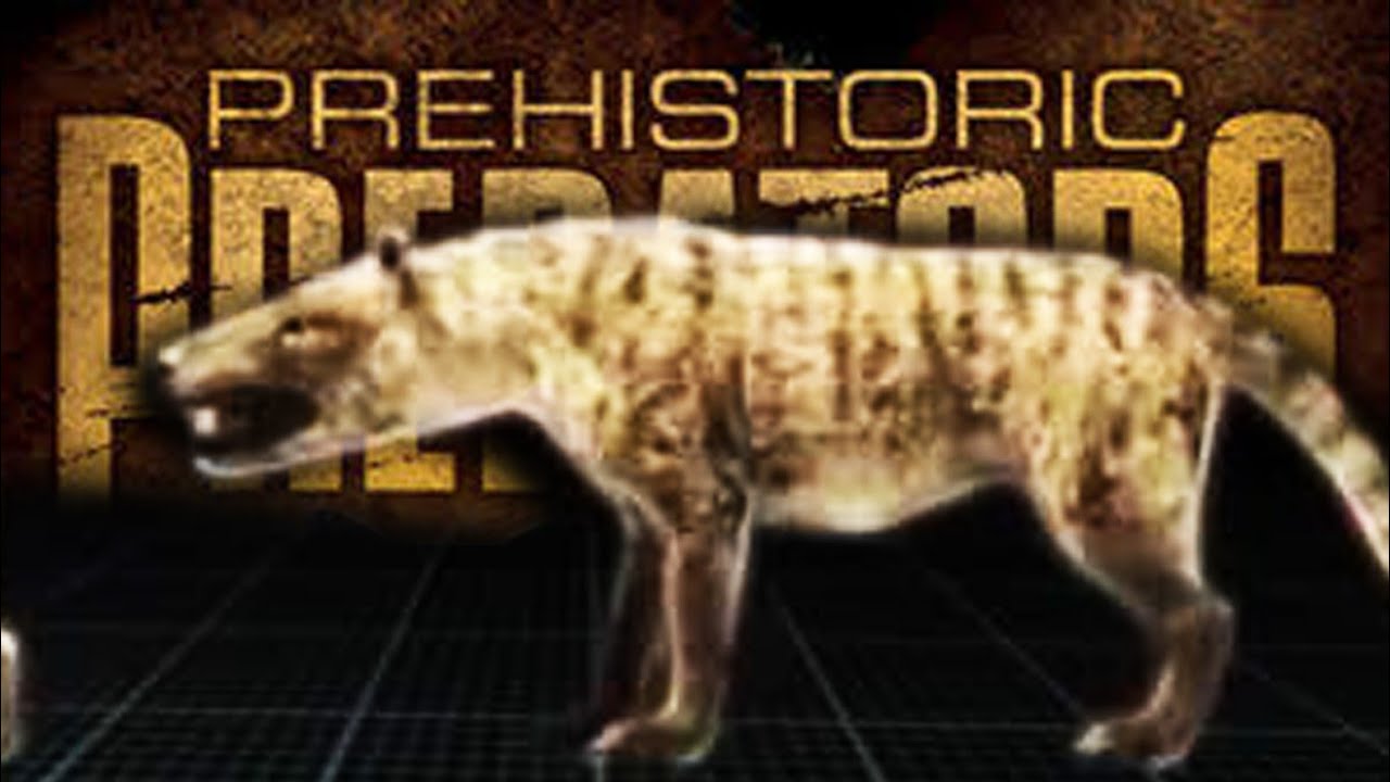 Prehistoric Predators - Hyaenodon horridus