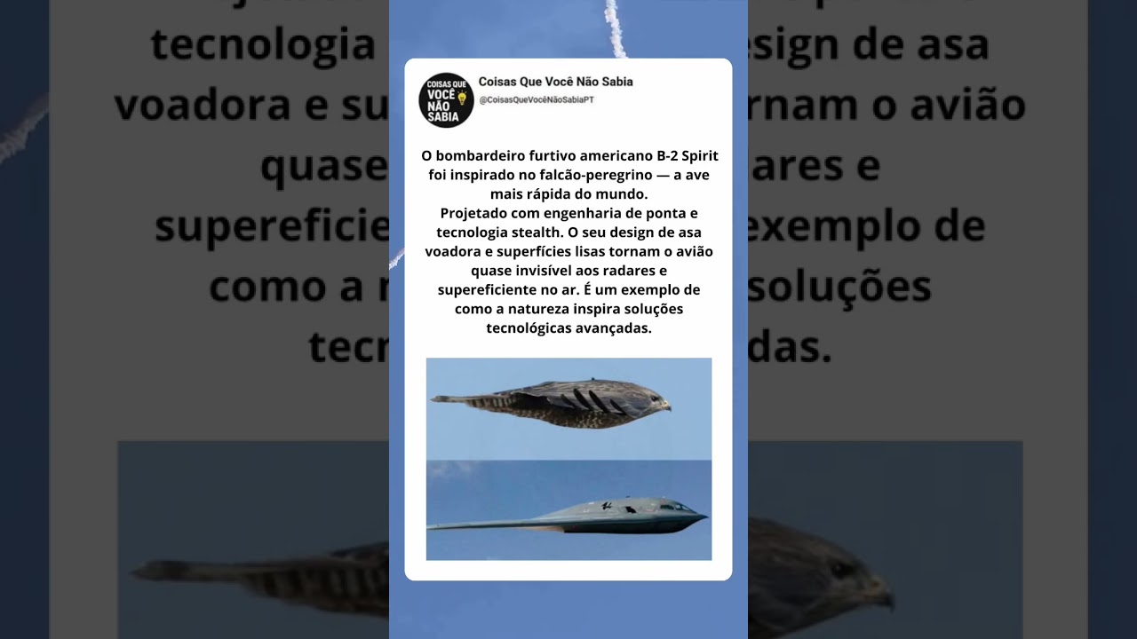 B-2 Spirit: o bombardeio invis&iacute;vel #aviation