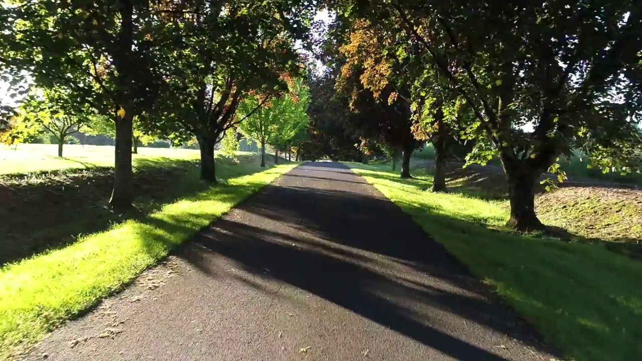 Maple Tree lined driveway leading to drone aerial view