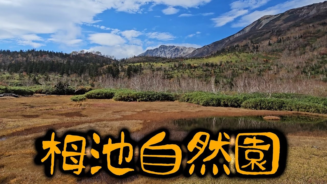 栂池自然園 （2024-10）｜ Tsugaike Nature Park's autumn leaves 2024-10.