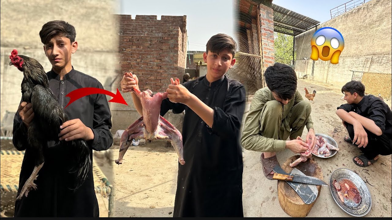 Murgay ko ziba kr dia