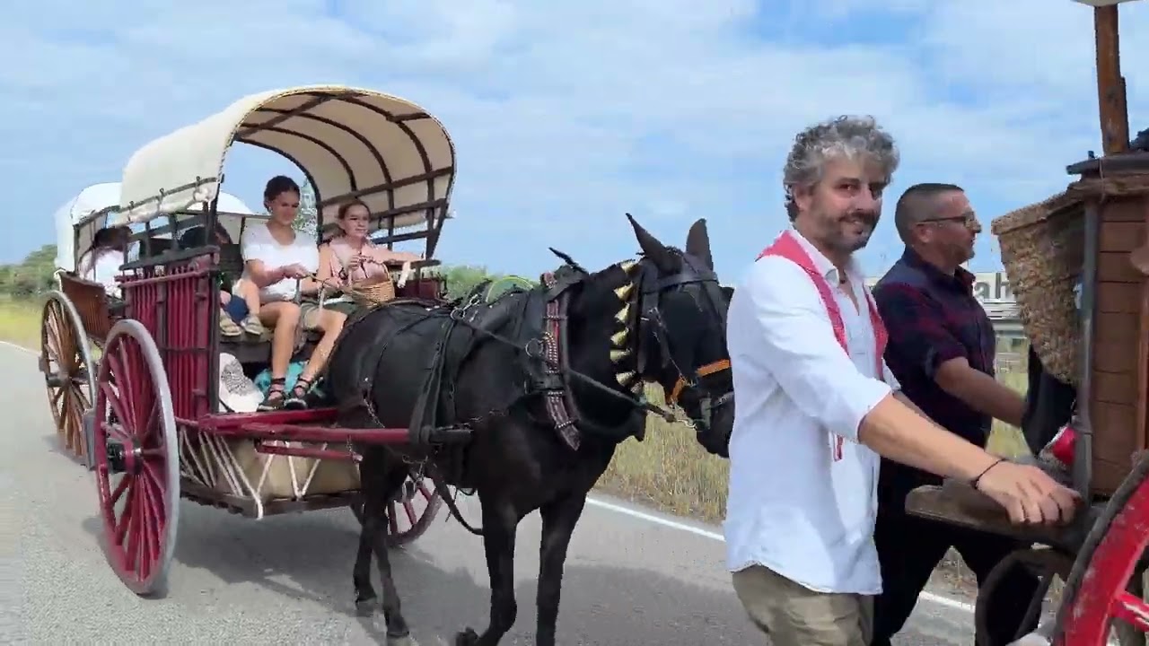 La Colla Vella recupera l'anada amb carro fins a Vilafranca per Sant Fèlix després de tres dècades
