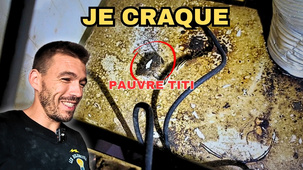 Horrible Découverte Pendant le Câblage de la Cuisine EP09
