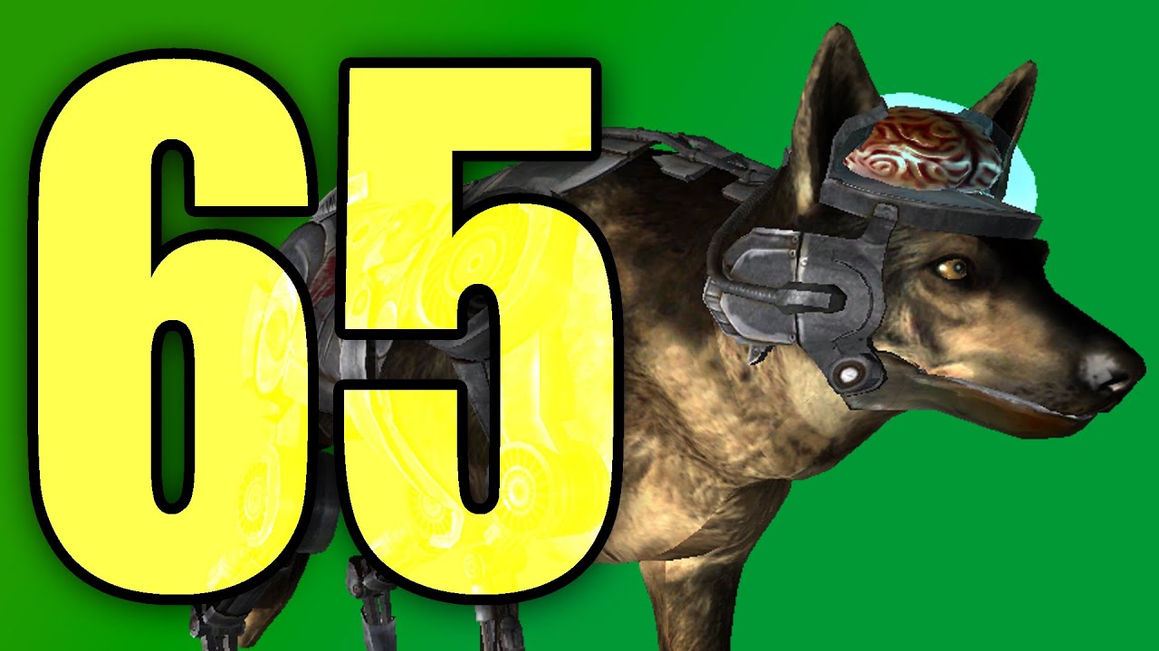 DOG SURGERY! - Another Fallout Tale 65