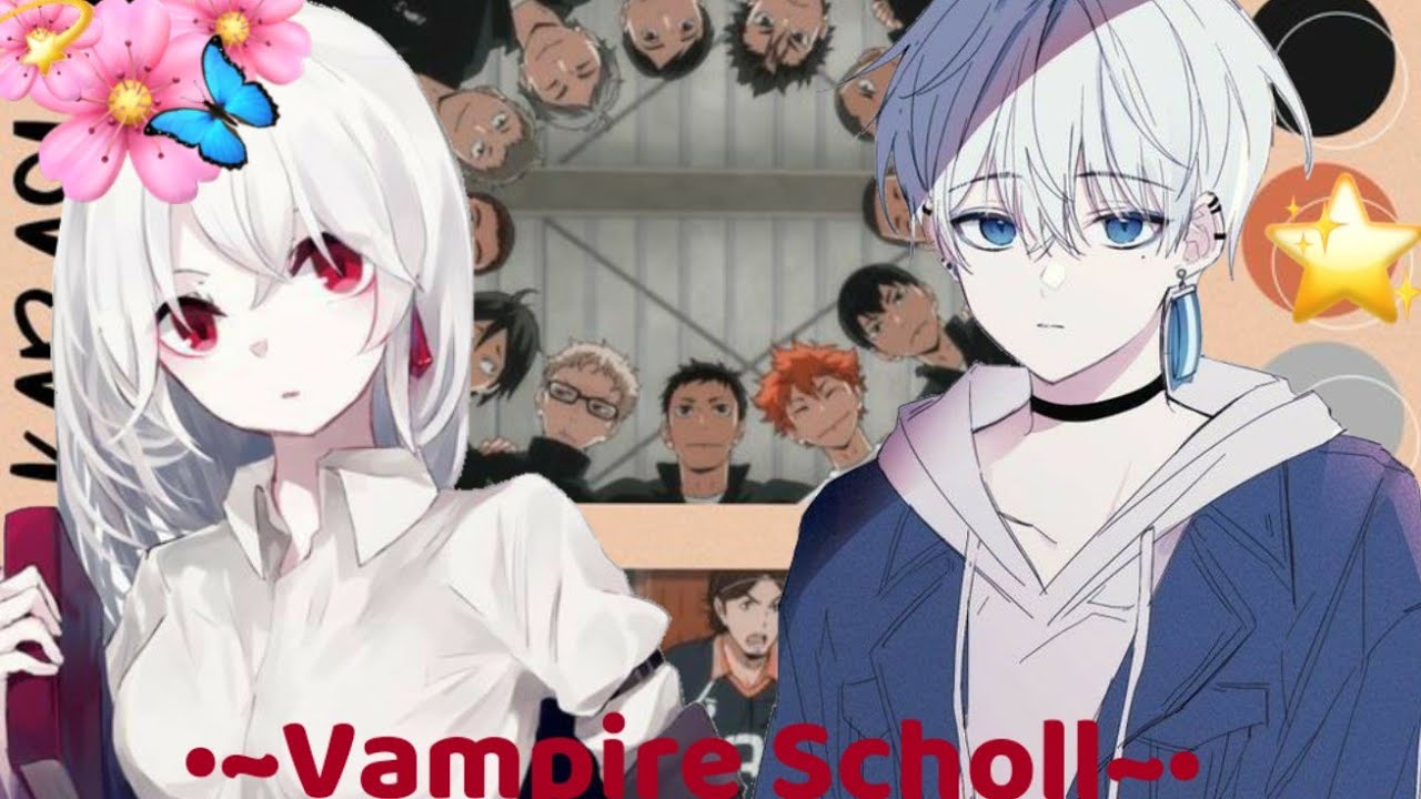 Vampire school || eps 1 ||haikyuu ×Y/n.