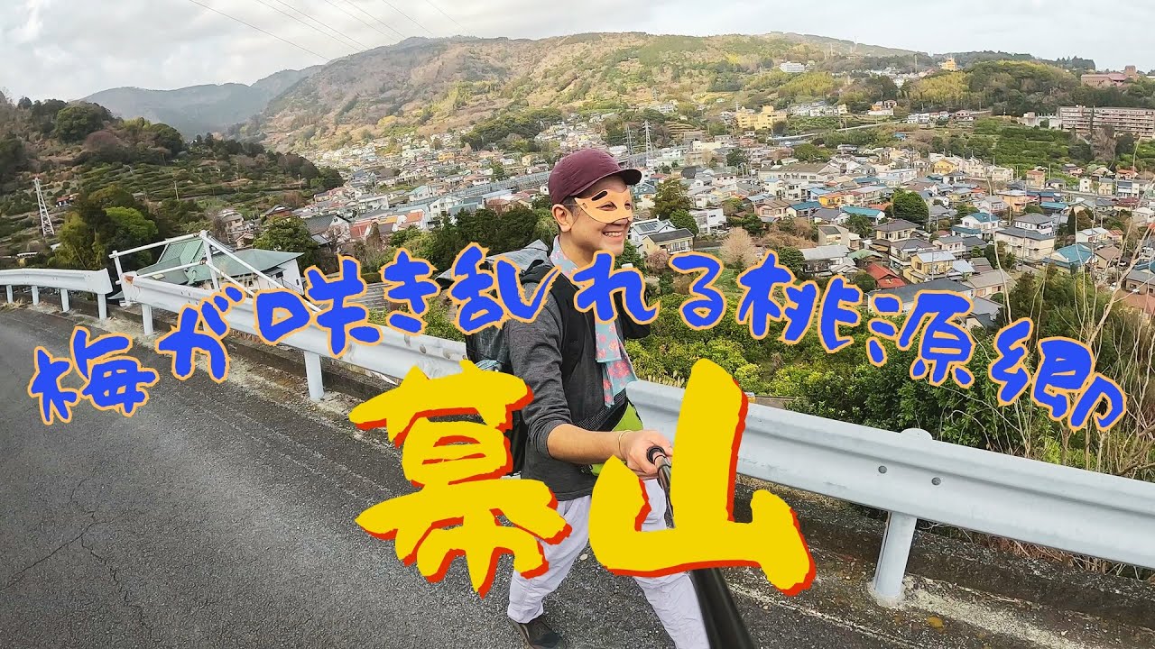 梅の宴開催中!【幕山】4000本の梅が咲き乱れる桃源郷ハイキングコース【湯河原】#低山 #日帰り #初心者youtuber 