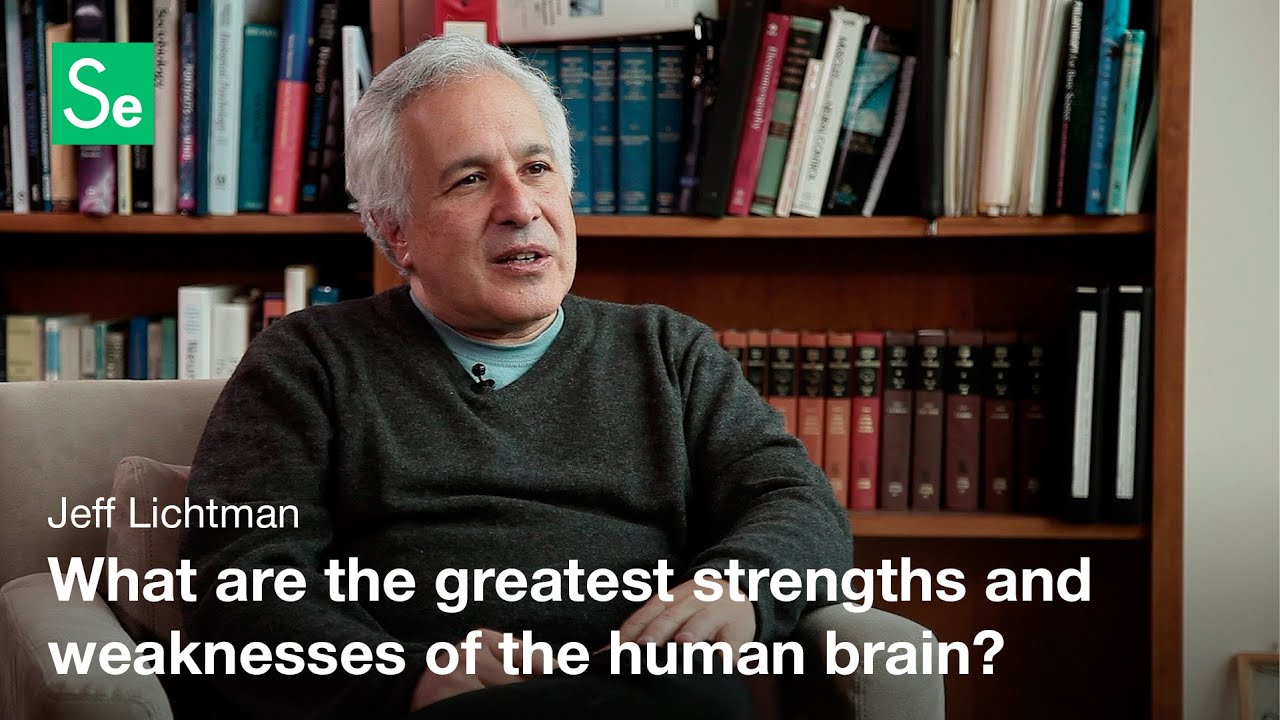 Developmental Neurobiology - Jeff Lichtman