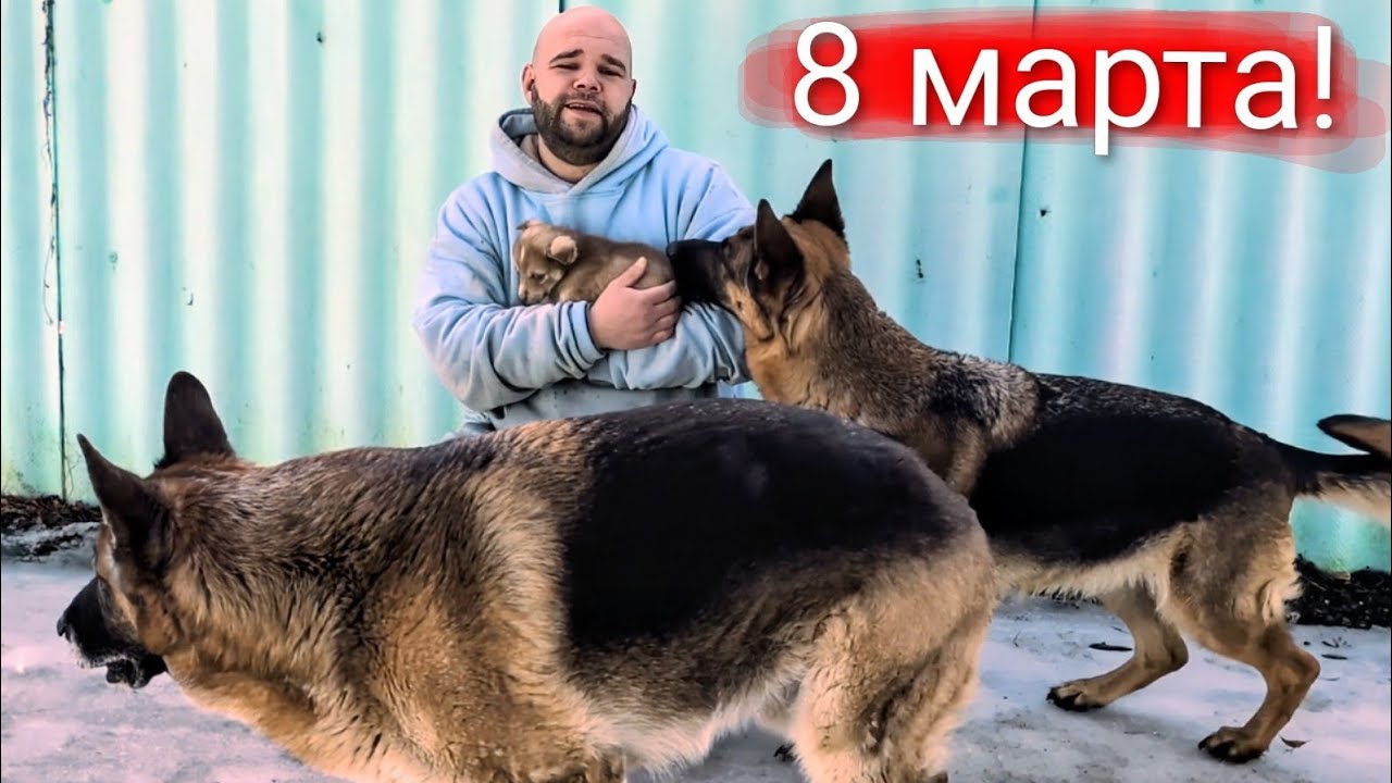 8 марта!