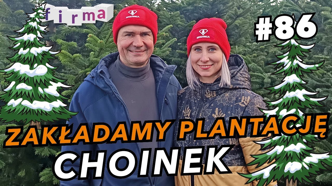 Zyski pod choinką #86