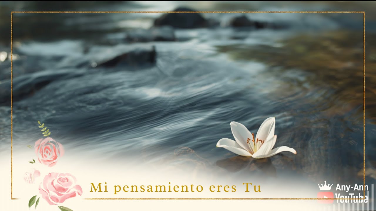 Mi pensamiento eres Tú Señor | Alabanza cristiana de adoración y gratitud
