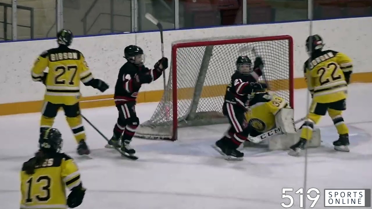 Under-12 Hockey - Waterloo Wolves vs Cambridge Hawks