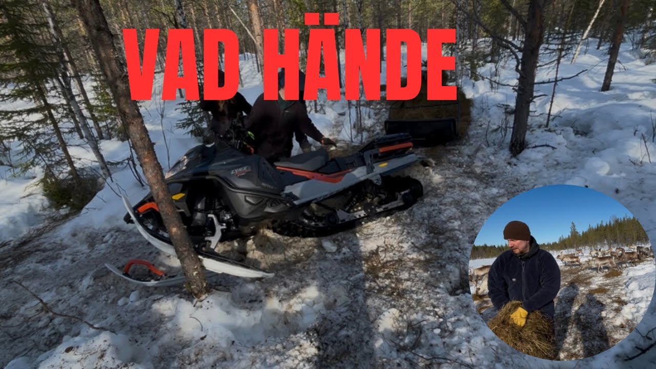 Med Magnus @ravvildmark  på liten dags tripp